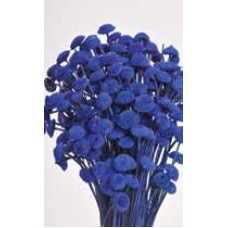 FLORAL BUTTONS Blue 18"-